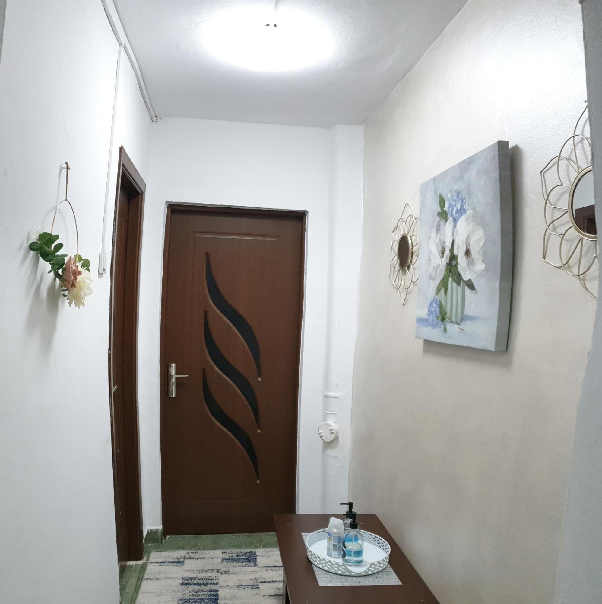 Elena Apartment Orsova Bagian luar foto